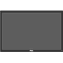 Monitor Dell P2217 No Stand 22''